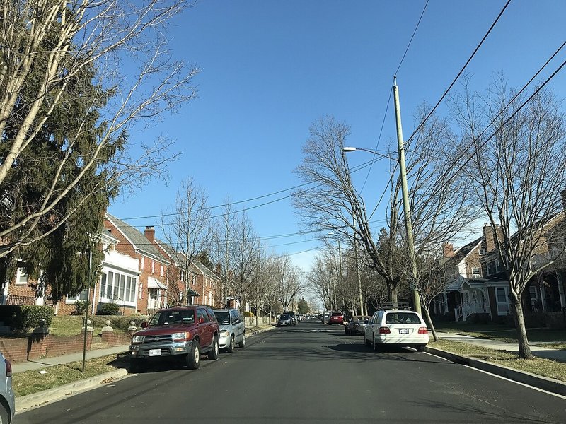 A tree-lined street at 14th and Tuckerman streets NW in Brightwood, Washington, D.C.