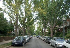Residential street in Glover Park, Washington, D.C.
